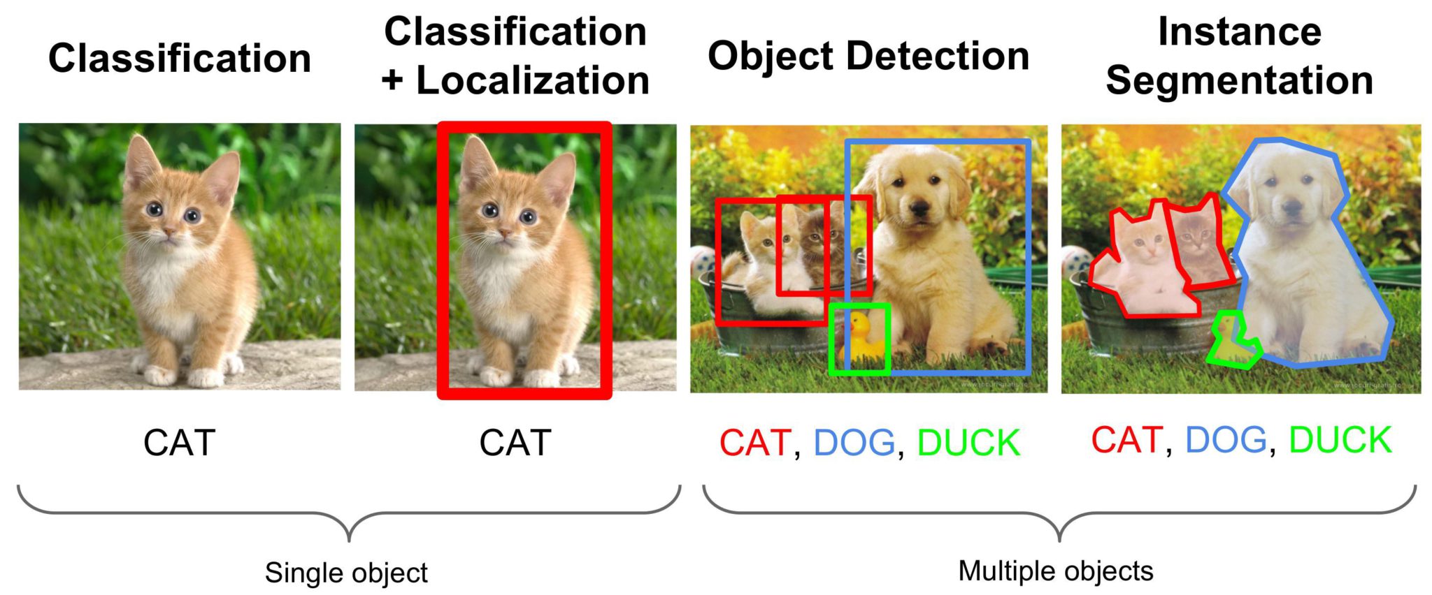 Image Segmentation